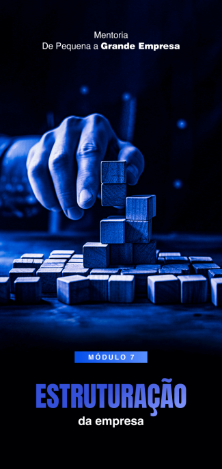 7 - Estruturação da empresa